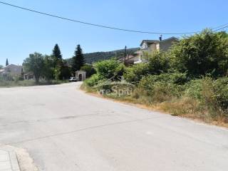 ΑΠΟΨΗ ΟΙΚΟΠΕΔΟΥ