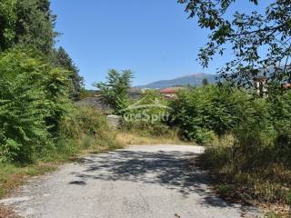 ΑΠΟΨΗ ΟΙΚΟΠΕΔΟΥ