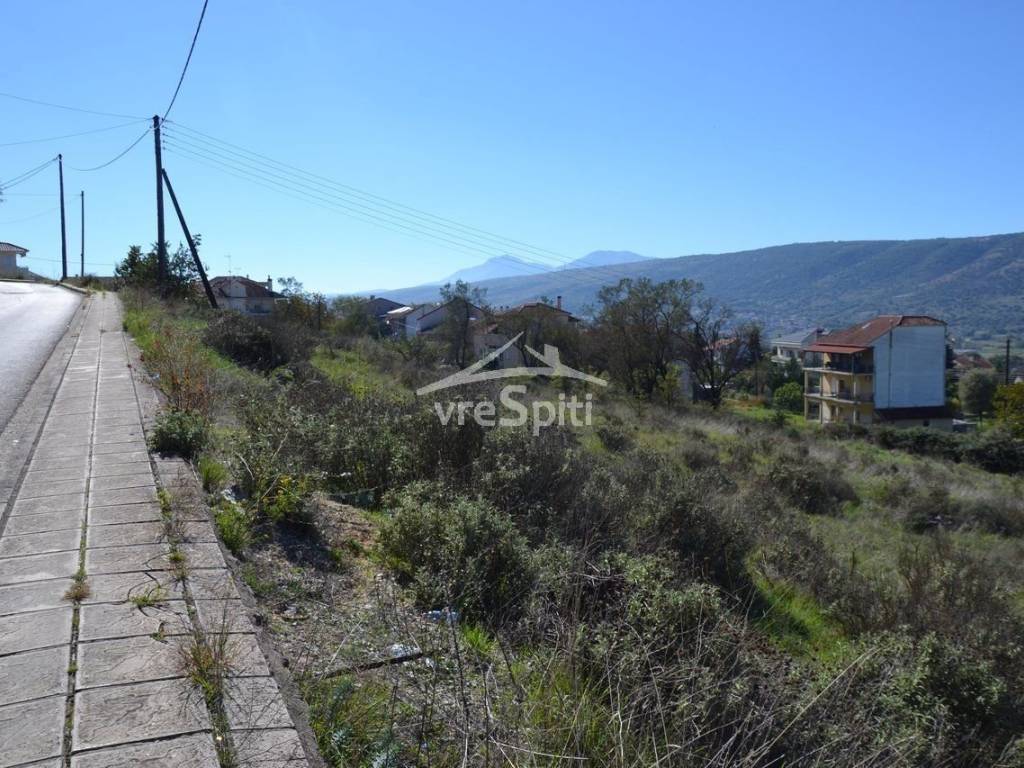 ΑΠΟΨΗ ΟΙΚΟΠΕΔΟΥ