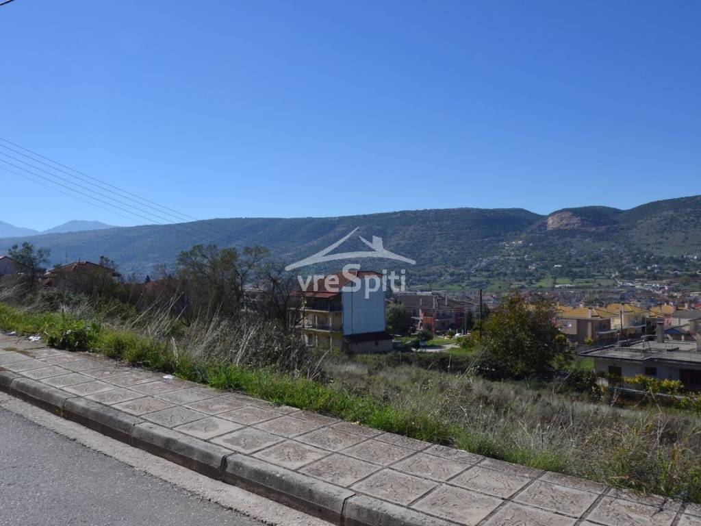 ΑΠΟΨΗ ΟΙΚΟΠΕΔΟΥ