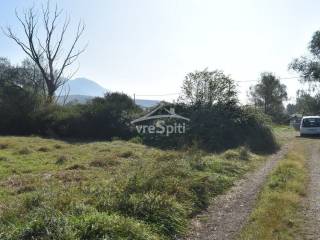 ΑΠΟΨΗ ΑΓΡΟΤΕΜΑΧΙΟΥ