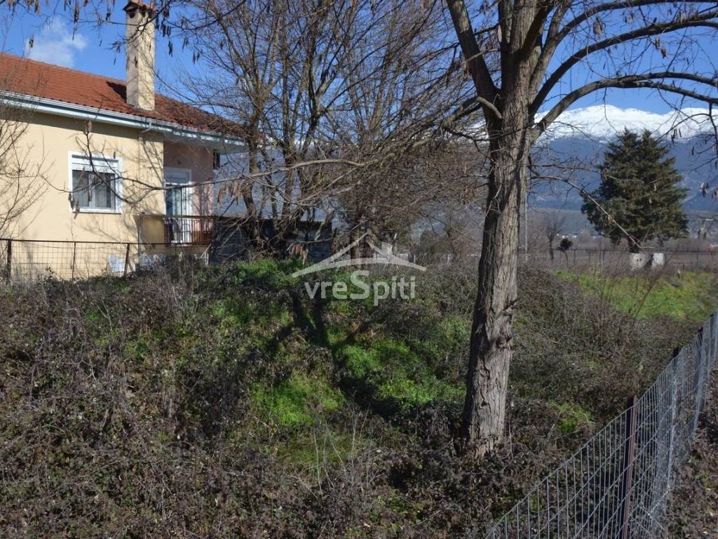 Φωτογραφίες οικοπέδου.