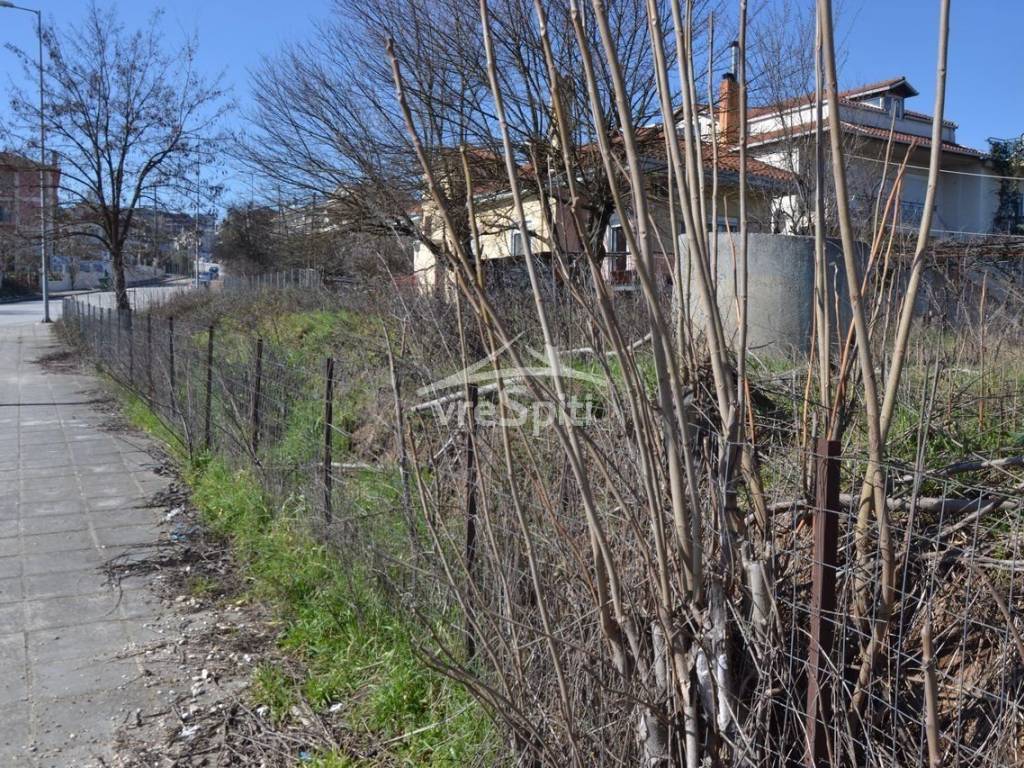 Φωτογραφίες οικοπέδου.