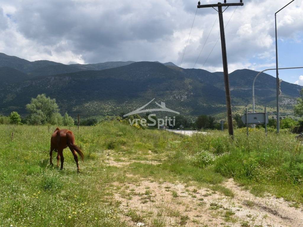 ΑΠΟΨΗ ΑΓΡΟΤΕΜΑΧΙΟΥ