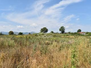 ΑΠΟΨΗ ΑΓΡΟΤΕΜΑΧΙΟΥ