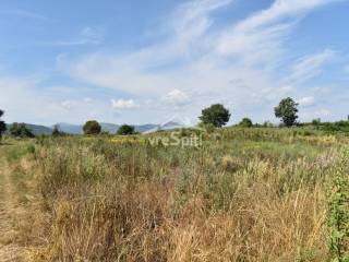 ΑΠΟΨΗ ΑΓΡΟΤΕΜΑΧΙΟΥ