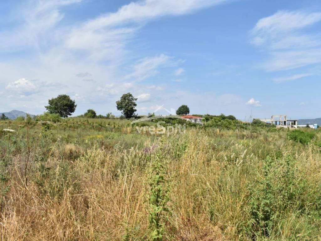 ΑΠΟΨΗ ΑΓΡΟΤΕΜΑΧΙΟΥ