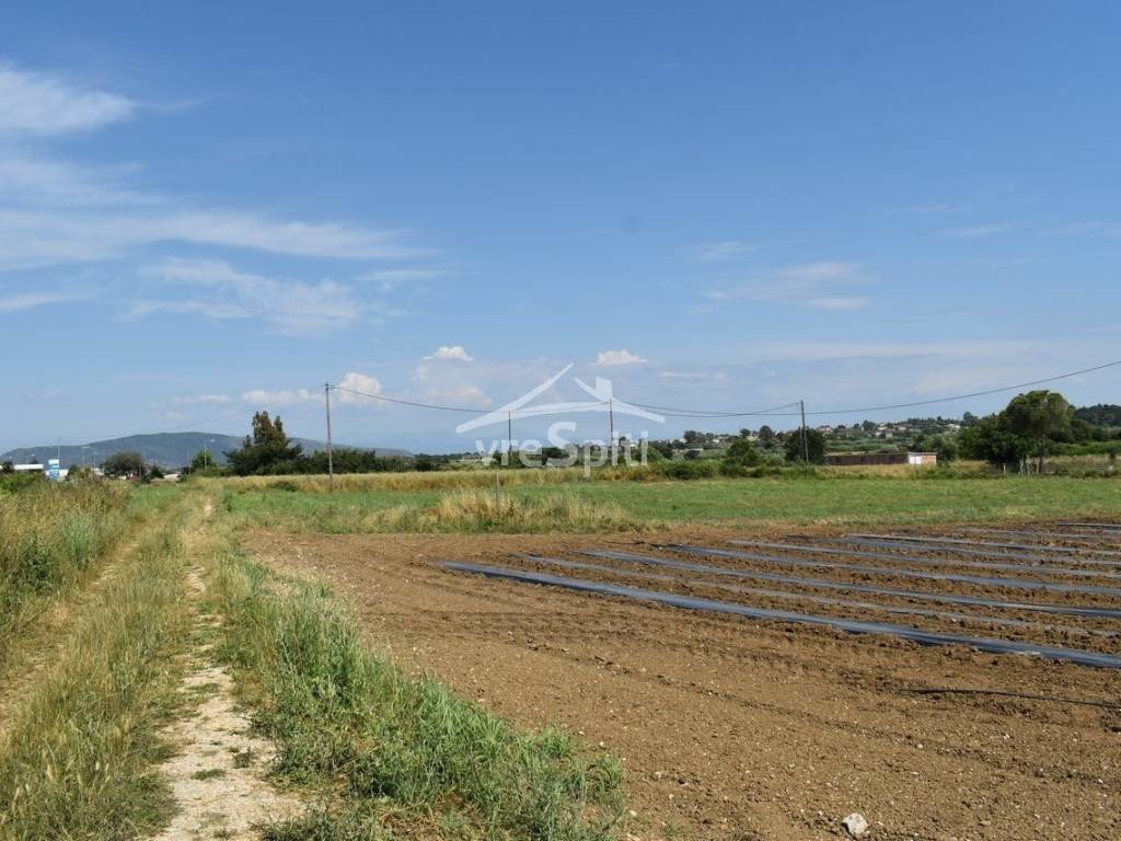 ΑΠΟΨΗ ΑΓΡΟΤΕΜΑΧΙΟΥ
