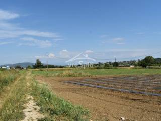 ΑΠΟΨΗ ΑΓΡΟΤΕΜΑΧΙΟΥ