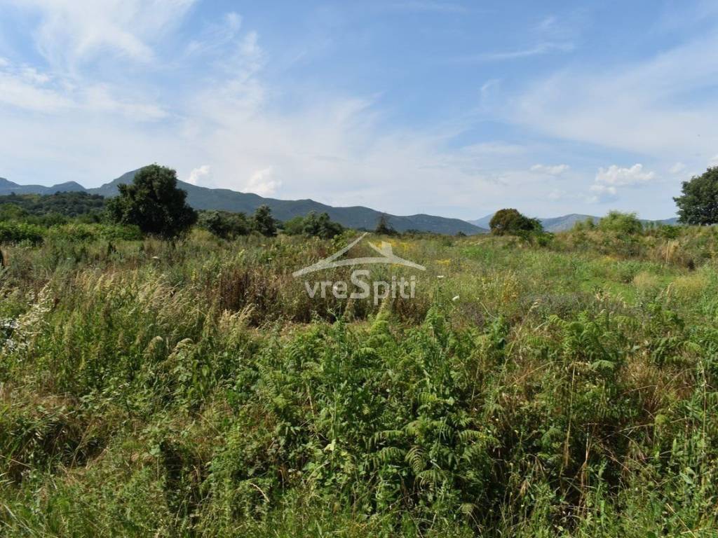 ΑΠΟΨΗ ΑΓΡΟΤΕΜΑΧΙΟΥ