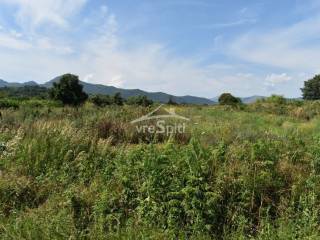 ΑΠΟΨΗ ΑΓΡΟΤΕΜΑΧΙΟΥ