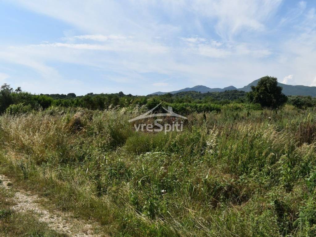 ΑΠΟΨΗ ΑΓΡΟΤΕΜΑΧΙΟΥ