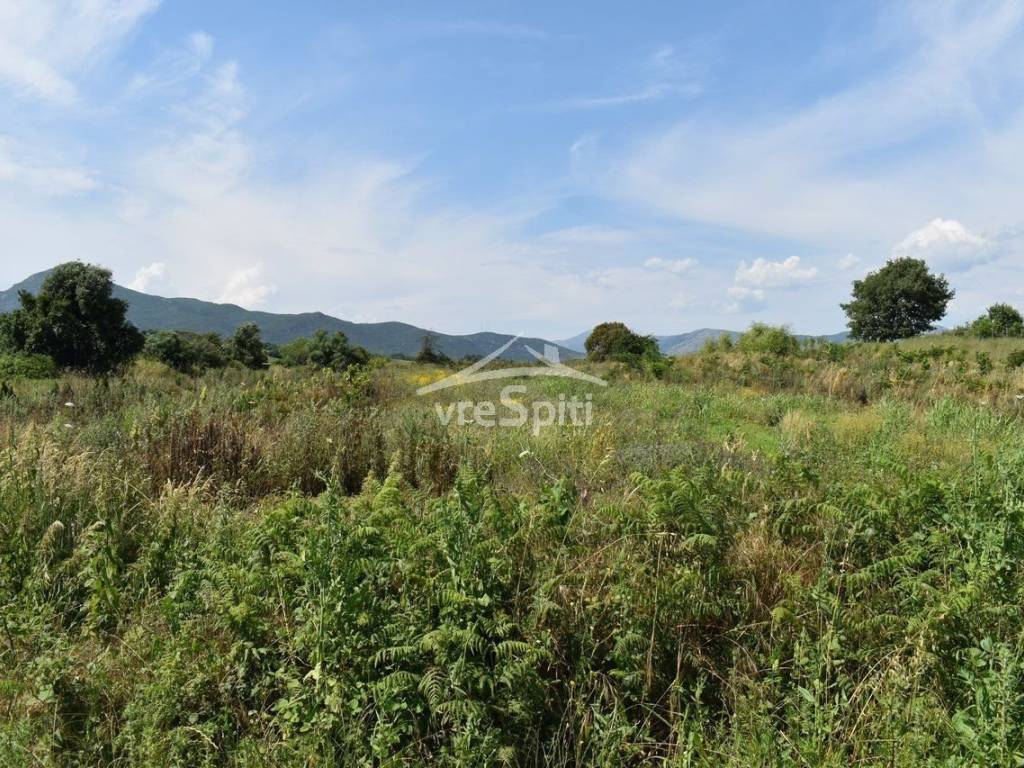 ΑΠΟΨΗ ΑΓΡΟΤΕΜΑΧΙΟΥ