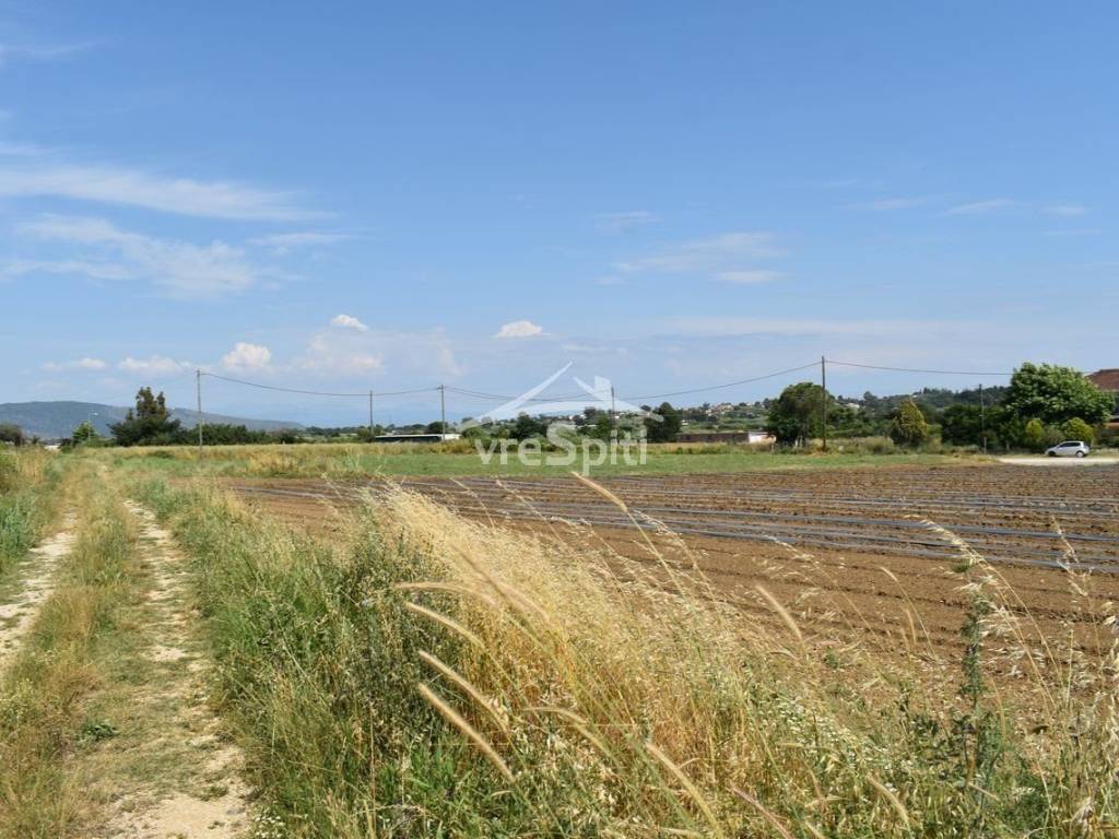 ΑΠΟΨΗ ΑΓΡΟΤΕΜΑΧΙΟΥ