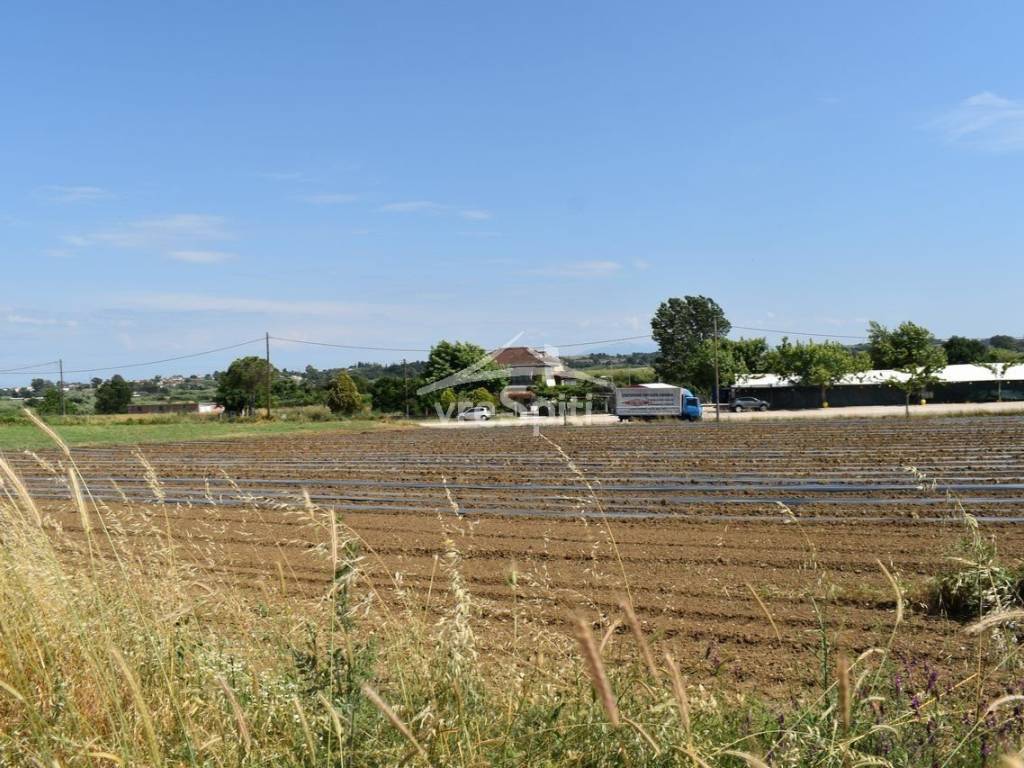 ΑΠΟΨΗ ΑΓΡΟΤΕΜΑΧΙΟΥ