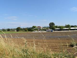 ΑΠΟΨΗ ΑΓΡΟΤΕΜΑΧΙΟΥ