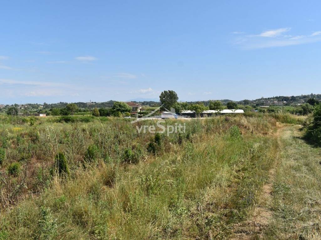 ΑΠΟΨΗ ΑΓΡΟΤΕΜΑΧΙΟΥ