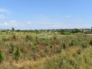 ΑΠΟΨΗ ΑΓΡΟΤΕΜΑΧΙΟΥ