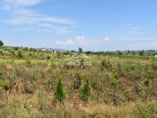 ΑΠΟΨΗ ΑΓΡΟΤΕΜΑΧΙΟΥ