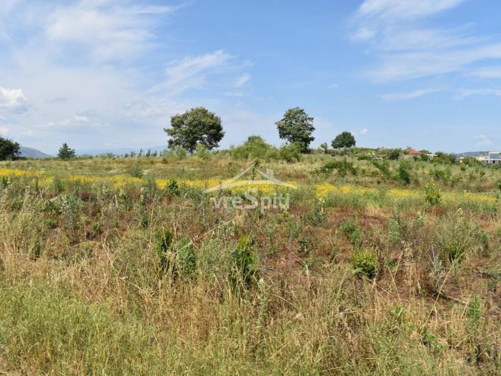 ΑΠΟΨΗ ΑΓΡΟΤΕΜΑΧΙΟΥ