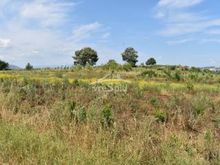 ΑΠΟΨΗ ΑΓΡΟΤΕΜΑΧΙΟΥ