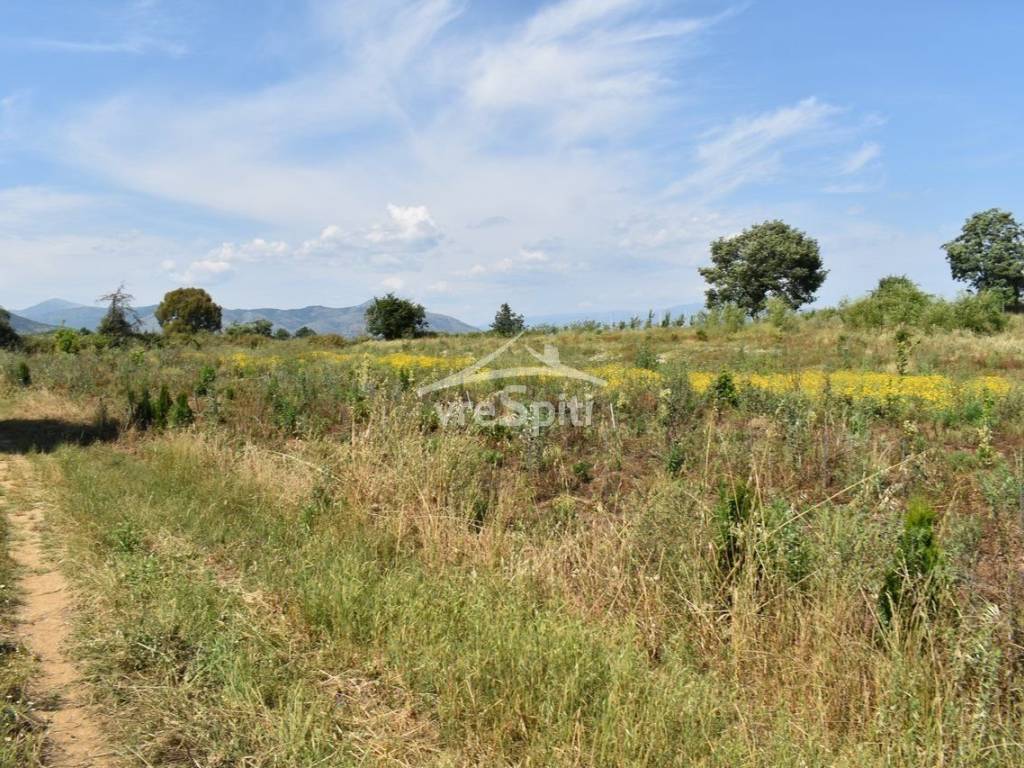 ΑΠΟΨΗ ΑΓΡΟΤΕΜΑΧΙΟΥ