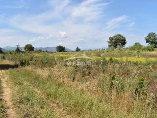 ΑΠΟΨΗ ΑΓΡΟΤΕΜΑΧΙΟΥ