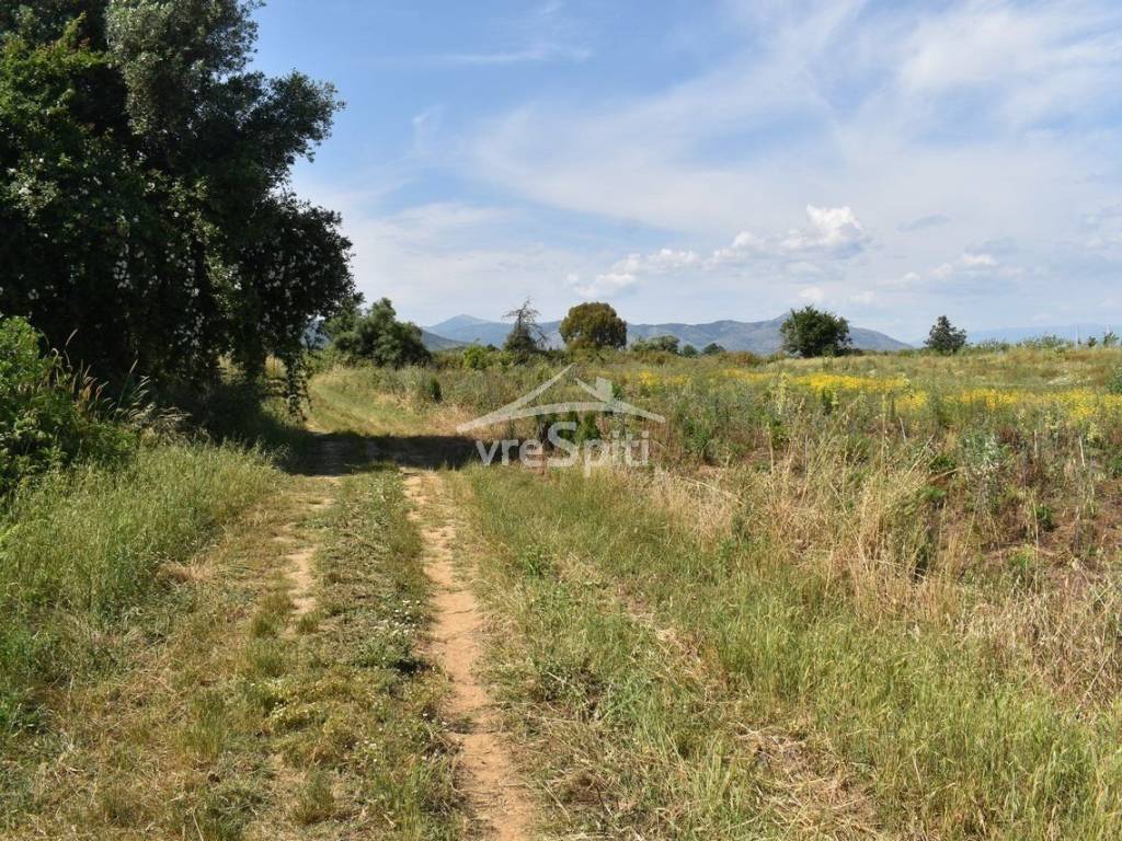 ΑΠΟΨΗ ΑΓΡΟΤΕΜΑΧΙΟΥ