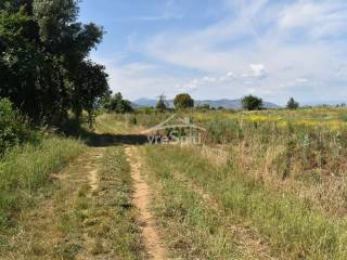 ΑΠΟΨΗ ΑΓΡΟΤΕΜΑΧΙΟΥ