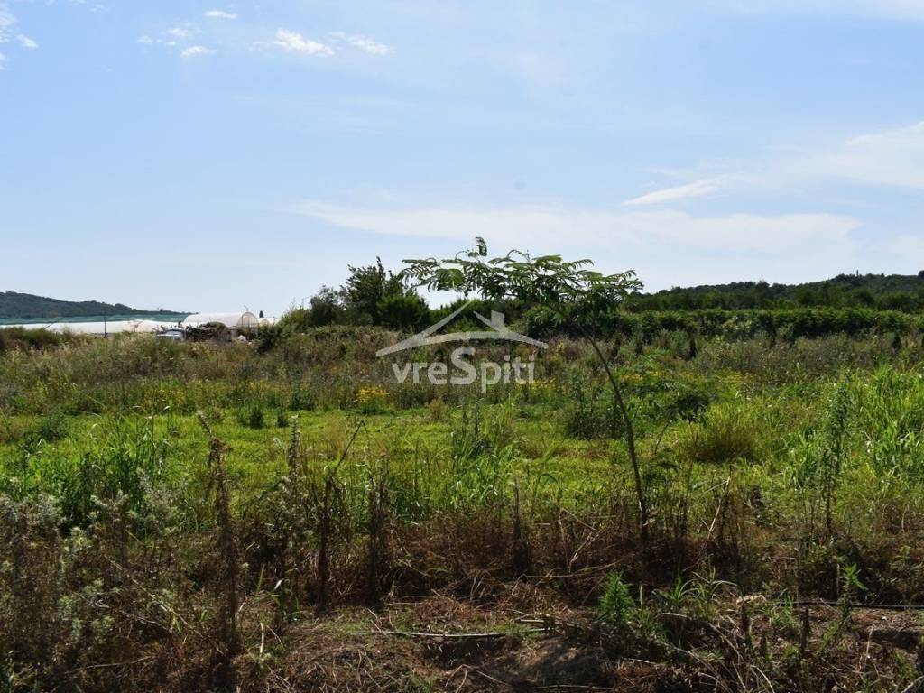 ΑΠΟΨΗ ΑΓΡΟΤΕΜΑΧΙΟΥ