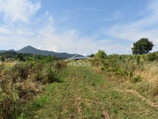 ΑΠΟΨΗ ΑΓΡΟΤΕΜΑΧΙΟΥ