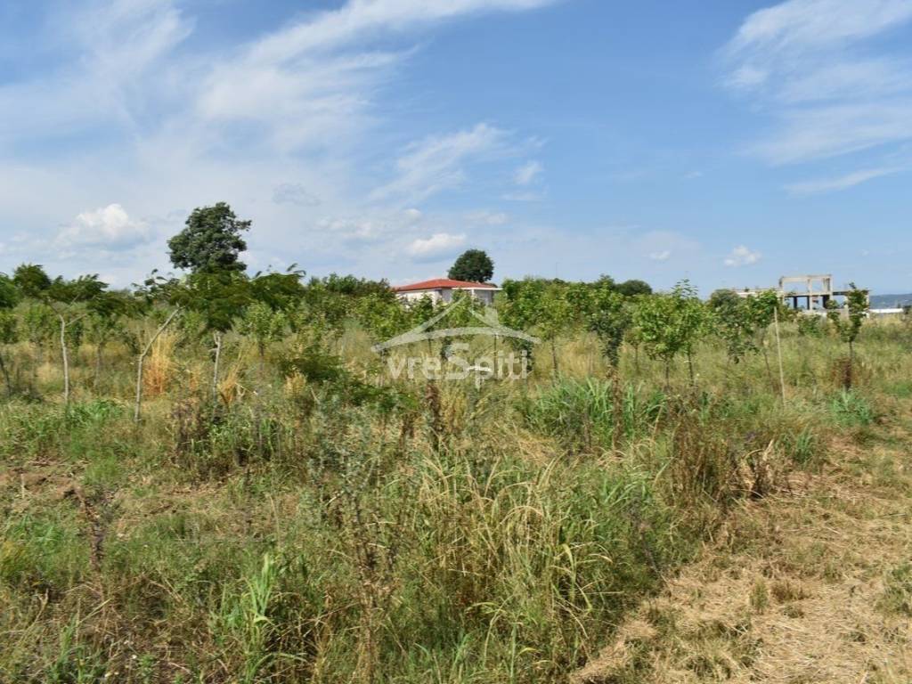 ΑΠΟΨΗ ΑΓΡΟΤΕΜΑΧΙΟΥ