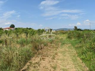 ΑΠΟΨΗ ΑΓΡΟΤΕΜΑΧΙΟΥ