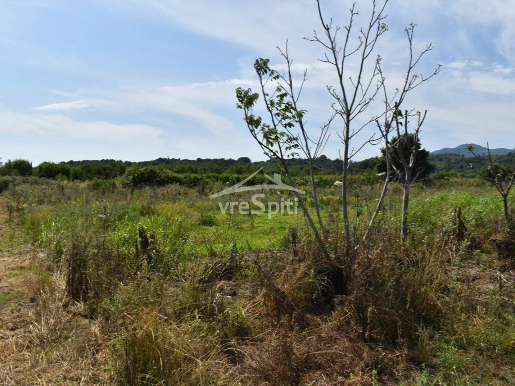 ΑΠΟΨΗ ΑΓΡΟΤΕΜΑΧΙΟΥ