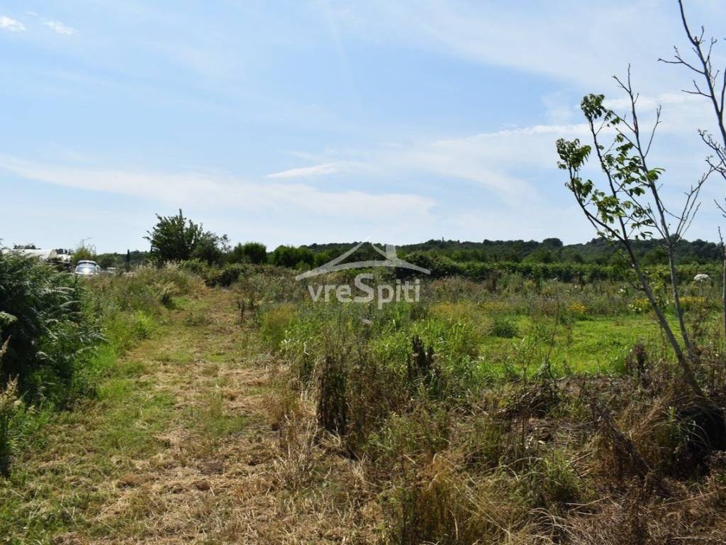 ΑΠΟΨΗ ΑΓΡΟΤΕΜΑΧΙΟΥ