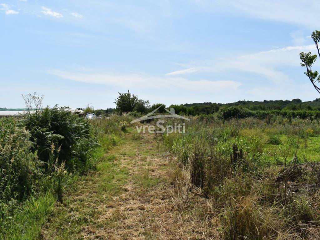 ΑΠΟΨΗ ΑΓΡΟΤΕΜΑΧΙΟΥ