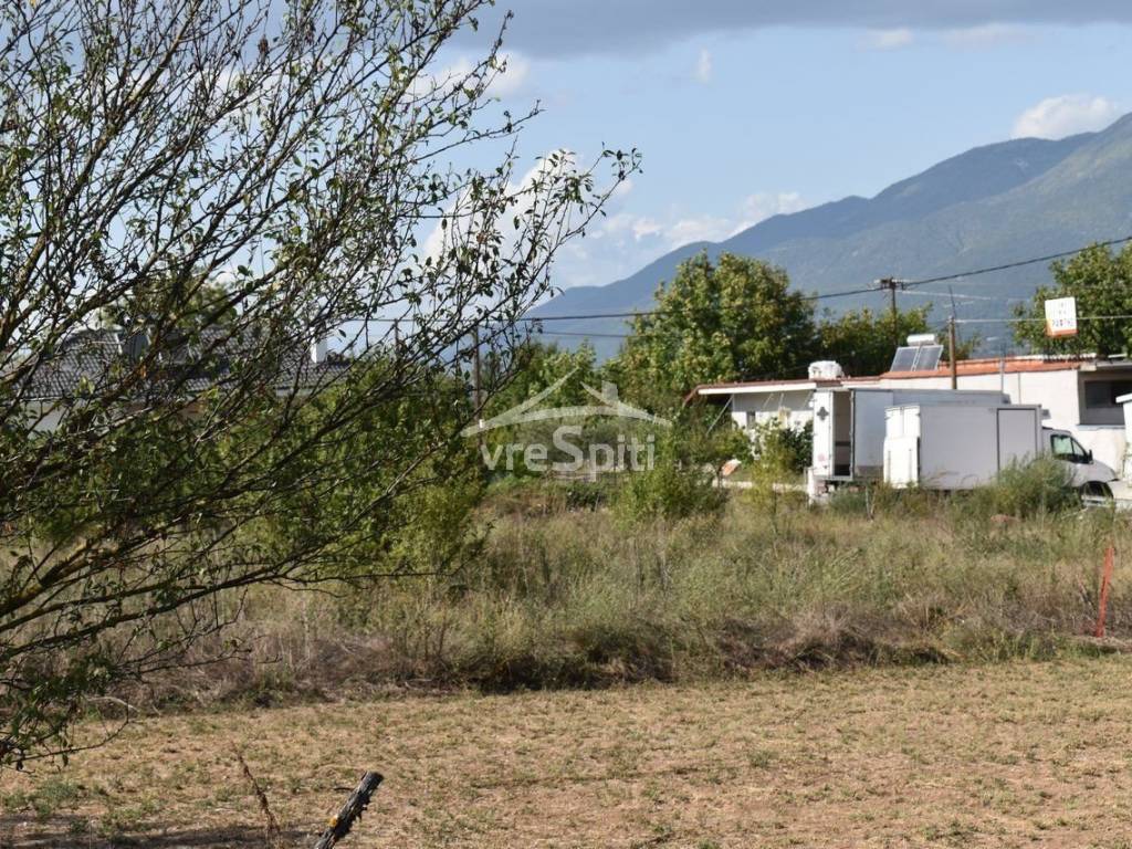 Φωτογραφίες οικοπέδου.