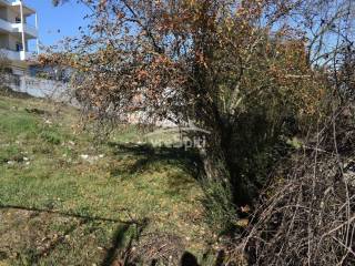 ΦΩΤΟΓΡΑΦΙΕΣ ΟΙΚΟΠΕΔΟΥ