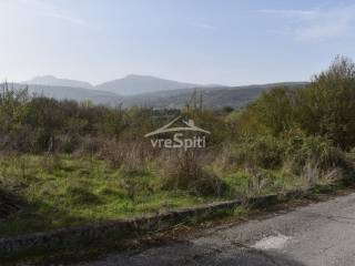 ΑΠΟΨΗ ΟΙΚΟΠΕΔΟΥ