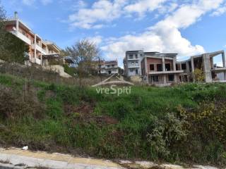 ΑΠΟΨΗ ΟΙΚΟΠΕΔΟΥ