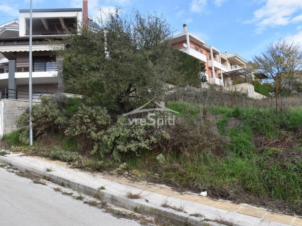 ΑΠΟΨΗ ΟΙΚΟΠΕΔΟΥ