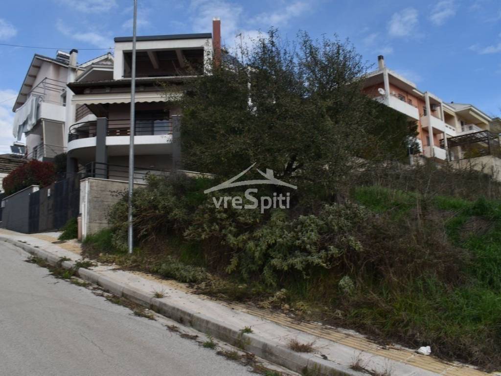 ΑΠΟΨΗ ΟΙΚΟΠΕΔΟΥ