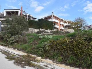 ΑΠΟΨΗ ΟΙΚΟΠΕΔΟΥ