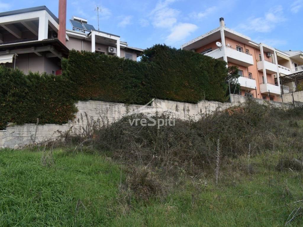 ΑΠΟΨΗ ΟΙΚΟΠΕΔΟΥ