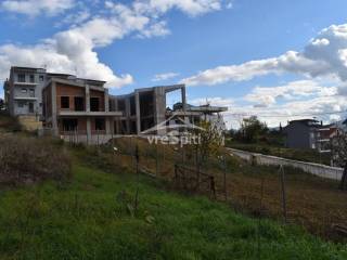 ΑΠΟΨΗ ΟΙΚΟΠΕΔΟΥ