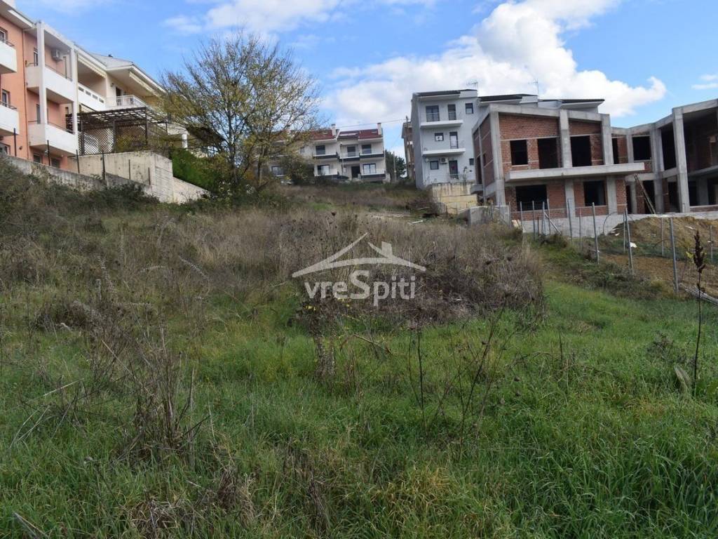 ΑΠΟΨΗ ΟΙΚΟΠΕΔΟΥ