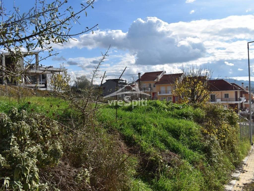 ΑΠΟΨΗ ΟΙΚΟΠΕΔΟΥ