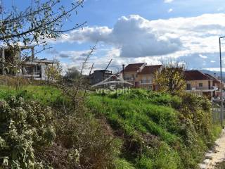 ΑΠΟΨΗ ΟΙΚΟΠΕΔΟΥ