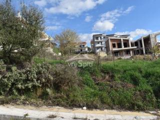 ΑΠΟΨΗ ΟΙΚΟΠΕΔΟΥ