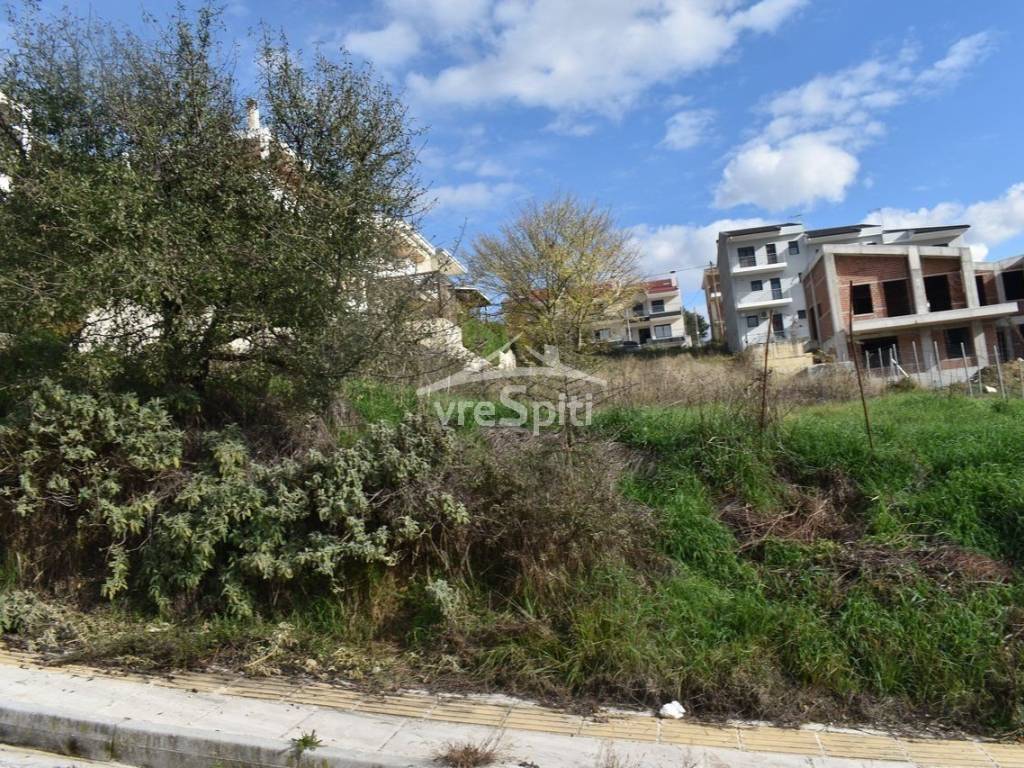 ΑΠΟΨΗ ΟΙΚΟΠΕΔΟΥ